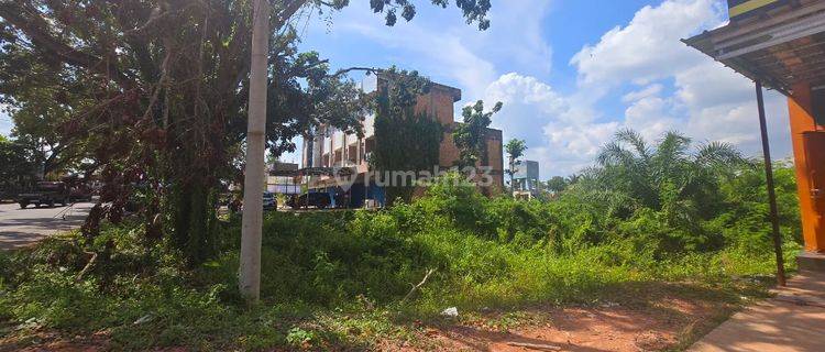 Raya Lintas Sumatra Tulang Bawang Banjar Agung 1