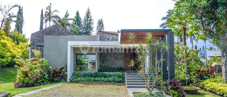 Villa Club Flower Stone 1