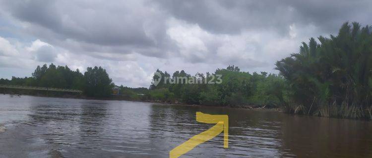 Tanah kebun kalimantan tengah samping sungai kapuas 1