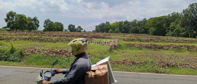 Tanah Industri Rembang Pasuruan 1