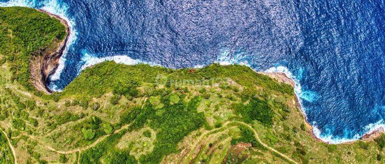 Kelingking Cliff Beach View Nusa Penida Bali 1
