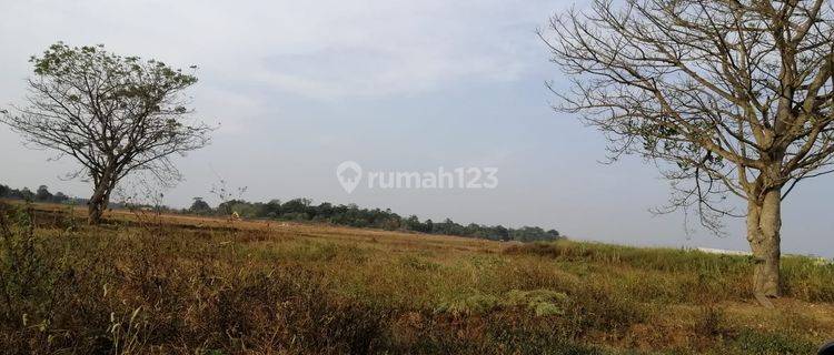 Kavling Untuk Gudang Pabrik Lokasi Dekat Tol di Legok Tangerang Banten 1