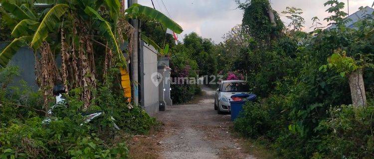 Tanah 468m2 Cococ Untuk Gust House  Jalan Bali Clift - Ungasan 1