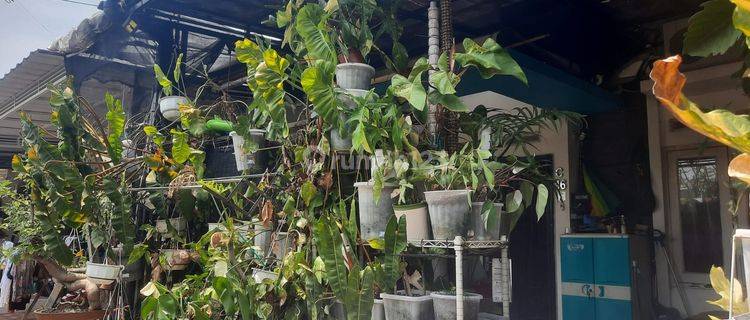 Rumah di Perumahan Puri Agung Lestari, Depan Rumah Ada Taman , Depok 1