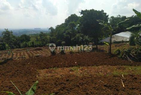 JUAL CEPAT..!! TANAH MURAH LUAS 9890M2 DI CICURUG SUKABUMI, JAWA BARAT  1