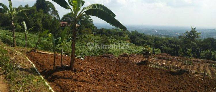 MURAH..!! TANAH LUAS 15.016M2 DI BABAKAN MADANG, SENTUL BOGOR  1