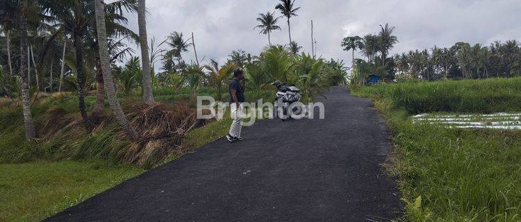 DI  TANAH MURAH BLAHBATUH GIANYAR 1