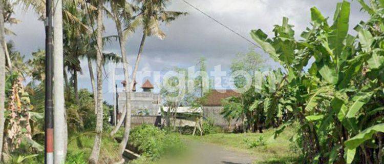 DI JUAL TANAH MURAH DI ABIANBASE 1