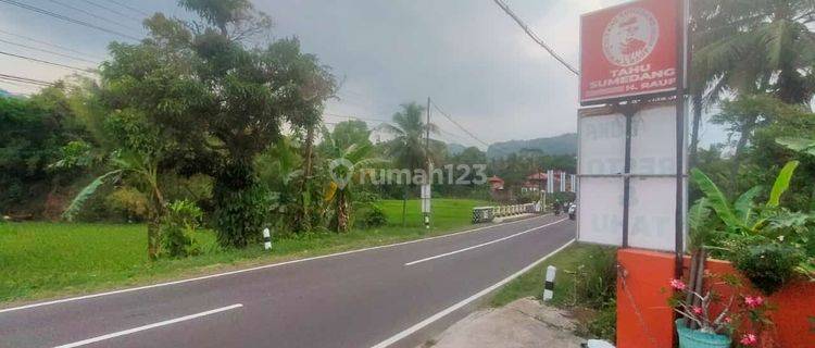 Di Jual Tanah Murah 1 Jutaan/ meter Lokasi Sumedang Jl.lingkar Sumedang Wado ,Jarang Ada Murah Luas Sangat Cck U/ Usaha/Rest Area/ SPBU Dll/ Rumah Makan 1