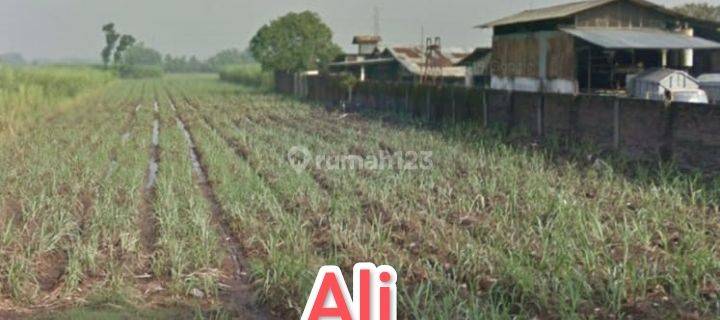 Tanah industri murah karang winongan Mojoagung jombang 1