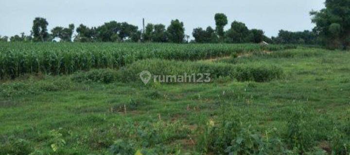 Tanah industri ada pipa gas strategis Raya bypass gempol dkt tol 1