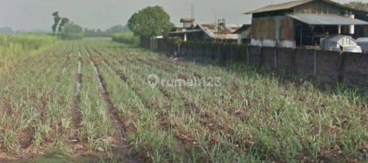 Tanah industri karang winongan mojoagung cocok pabrik 1