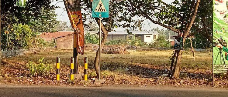 Tanah raya prambon siap bangun dimensi bagus 0 jalan raya 1