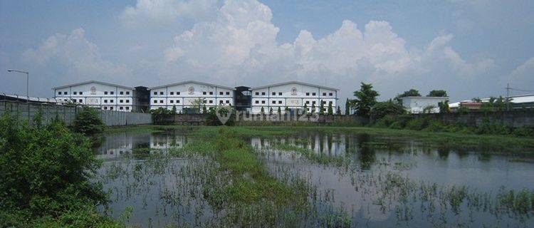 Tanah di Rejosari,, Deket, Lamongan 8.022 m² Sudah Uruk, 0 Jalan 1