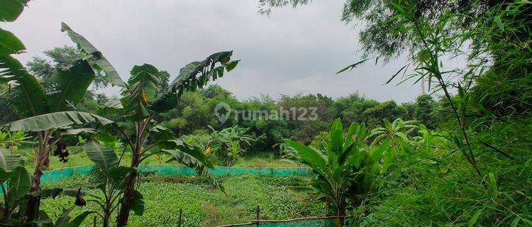 Tanah Strategis Akses Container Siap Pakai Di Jalan Utama Parung 1