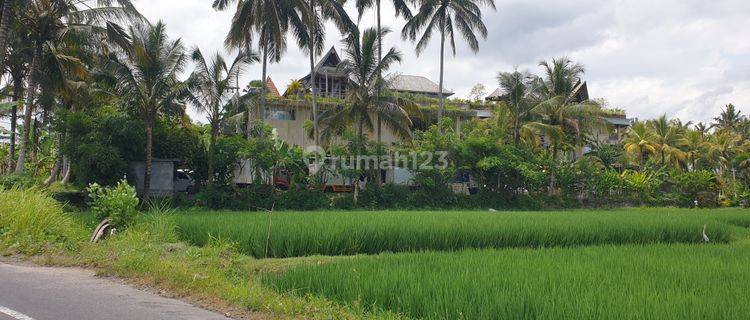 BUC - Tanah Cantik untuk Resort - Ubud rice terrace View 1