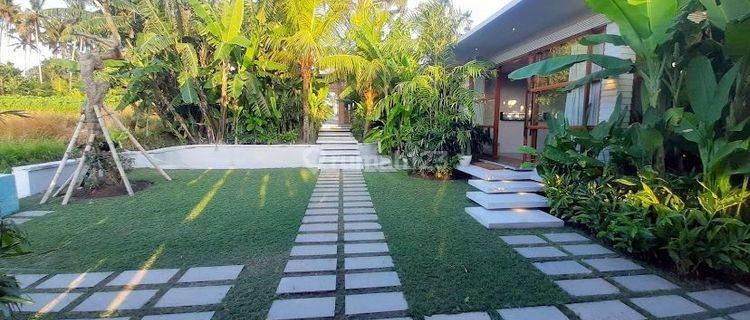 SPACIOUS ELEGANT VILLA TANAH LOT RICEFIELD VIEW 1