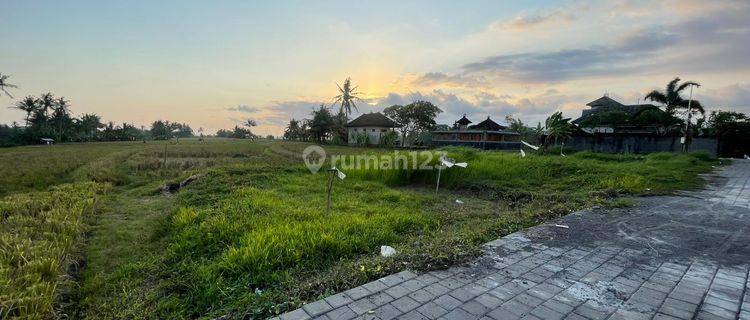 Tanah Tabanan Lingkungan Asri Area Villa 1