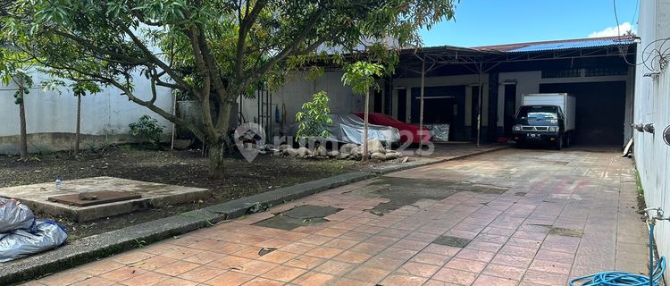 Sakura Park Workshop 1