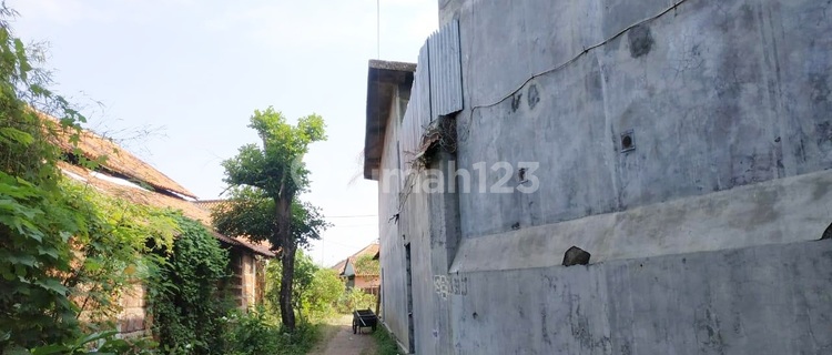 House and Edible Bird's Nest in Burujul Majalengka 1