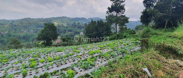 Kavling Dijual Lokasi Strategis di Pagerwangi 1