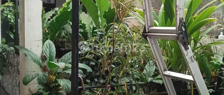 Modern Comfortable House on Mainroad Sayap Burangrang 1