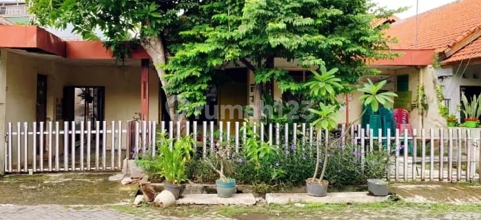 Dijual Rumah Lokasi Tengah Kota di Jl. Pleburan Semarang 1