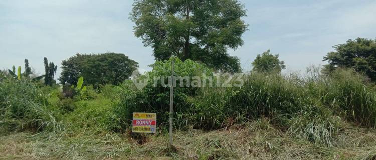 Land for Rent Location Grand Marina Semarang 1