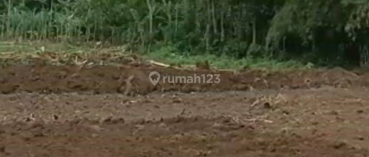 TANAH MURAH TANGUNTITI SELEMADEG TIMUR TABANAN BALI 1