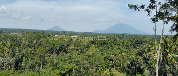 Tanah Plot Kecil Pemandangan Hutan Tegalalang Ubud Bali 1