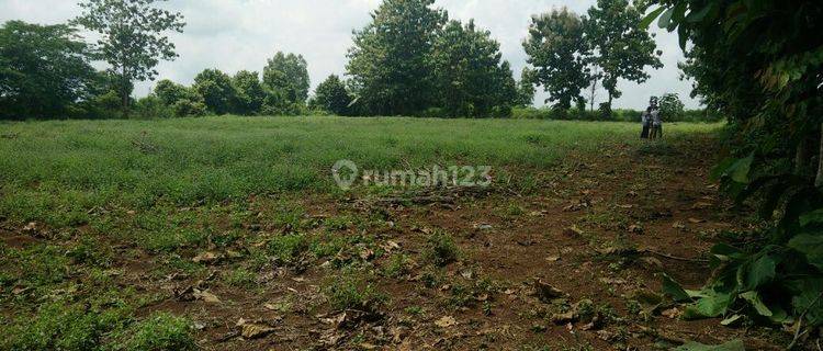 Tanah di Bondoala Sampara, Konawe 360.000 m² 1