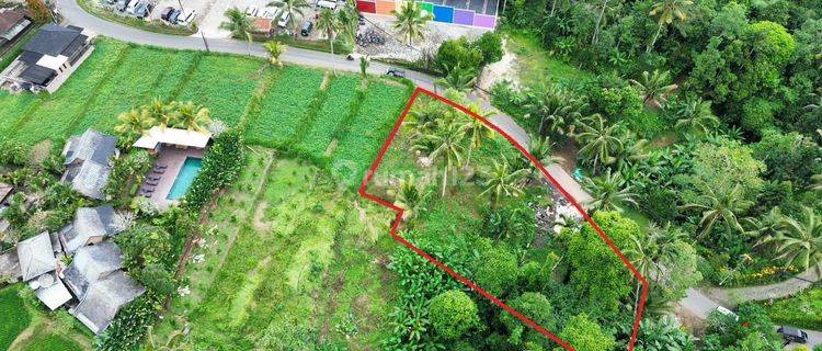 Dijual Tanah Komersil Kawasan Melinggih Payangan Ubu Bali 1