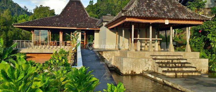 Dijual Villa di Munduk Buleleng Akses Air Terjun  1