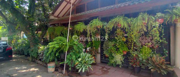 Rumah Asri di Jl. Boulevard di Perumahan Alam Parung  1