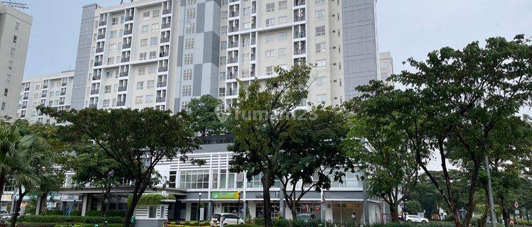 Apartemen Scientia Residences Summarecon Serpong Full Furnish 1