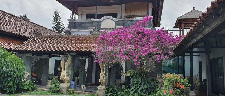 Villa Murah Etnik Bali di Jimbaran,tanah Besar,strategis Area 1