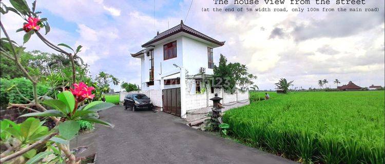 Rumah View Sawah di Pantai Purnama,daerah Berkembang Pesat 1