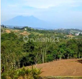 Tanah Di Sentul City Desa Bojong Koneng Dg Luas 8600 Meter Shm, 2km Sebelum Kediaman Bp.presiden H Prabowo  1