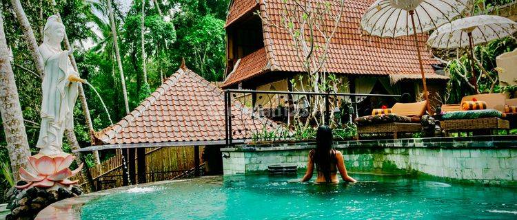 Boutique Hotel With Potential 30 Years Leasehold Ubud Area 1