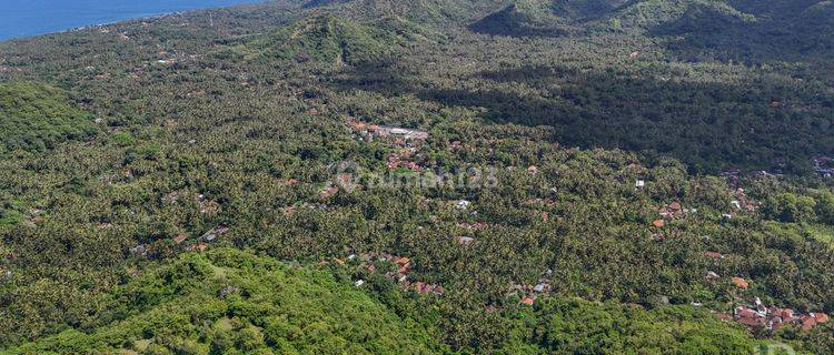 Bukit Cinta 10.000m2 With Amazing Views, Manggis 1