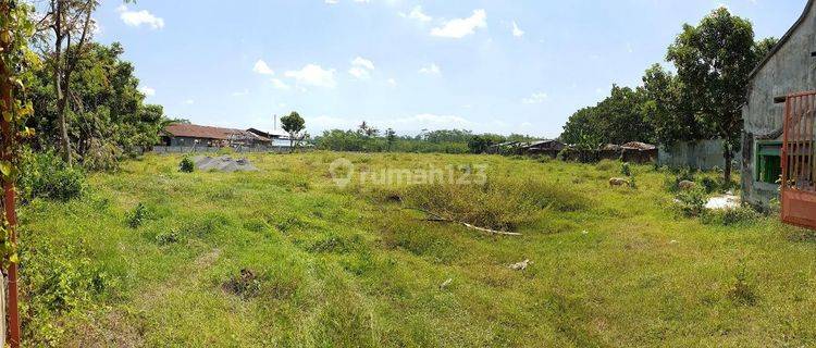 Dijual Tanah Strategis cocok utk Usaha di Lumajang Jatim 1