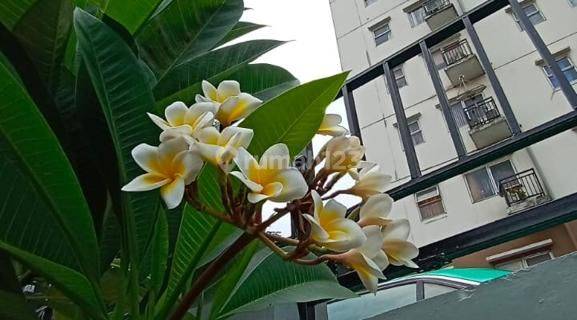 APARTEMEN GATEWAYYY CILEDUG DEKAT AREA PERKANTORAN 1