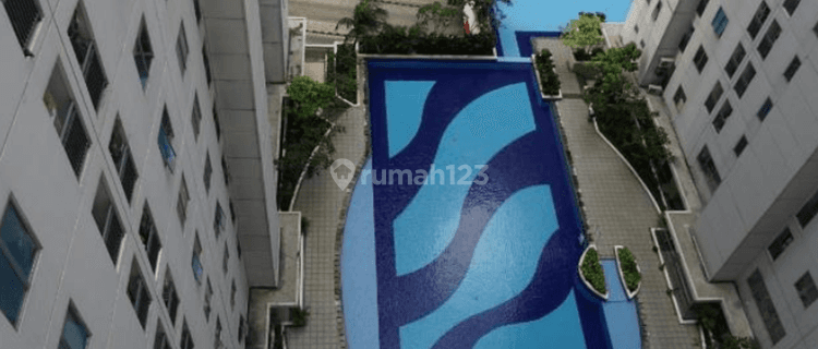 Bassura City 3 Kamar Double View Pool Geranium  1