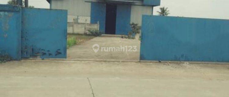 Disewakan Gudang Siap Pakai 1 Lantai di Bantar Panjang Tigaraksa Banten 1
