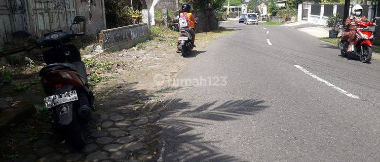 Tanah tepi jalan Turi untuk usaha 1