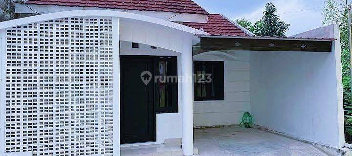 Rumah Homestay aktif Condong catur 1