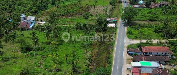 Tanah Tepi Jalan Wajok Kabupaten Mempawah 1