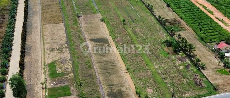 Tanah Tepi Jalan Pal 9 Kabupaten Kuburaya Pontianak 1