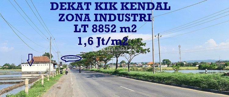 Tanah Zona Industri Raya Pantura Lingkar Kaliwungu Kendal Dekat Kik Pelabuhan Kendal Pintu Toll Kaliwungu 1