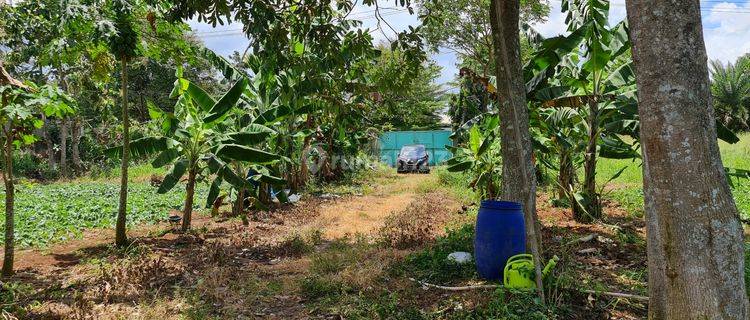 Tanah Cisauk Kadusirung Pinggir Jalan Raya Dekat Stasiun  1